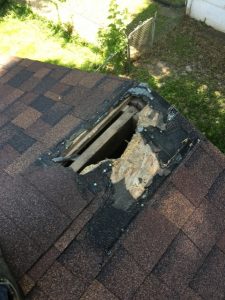 Raccoon Damage to Roof in Kansas City MO