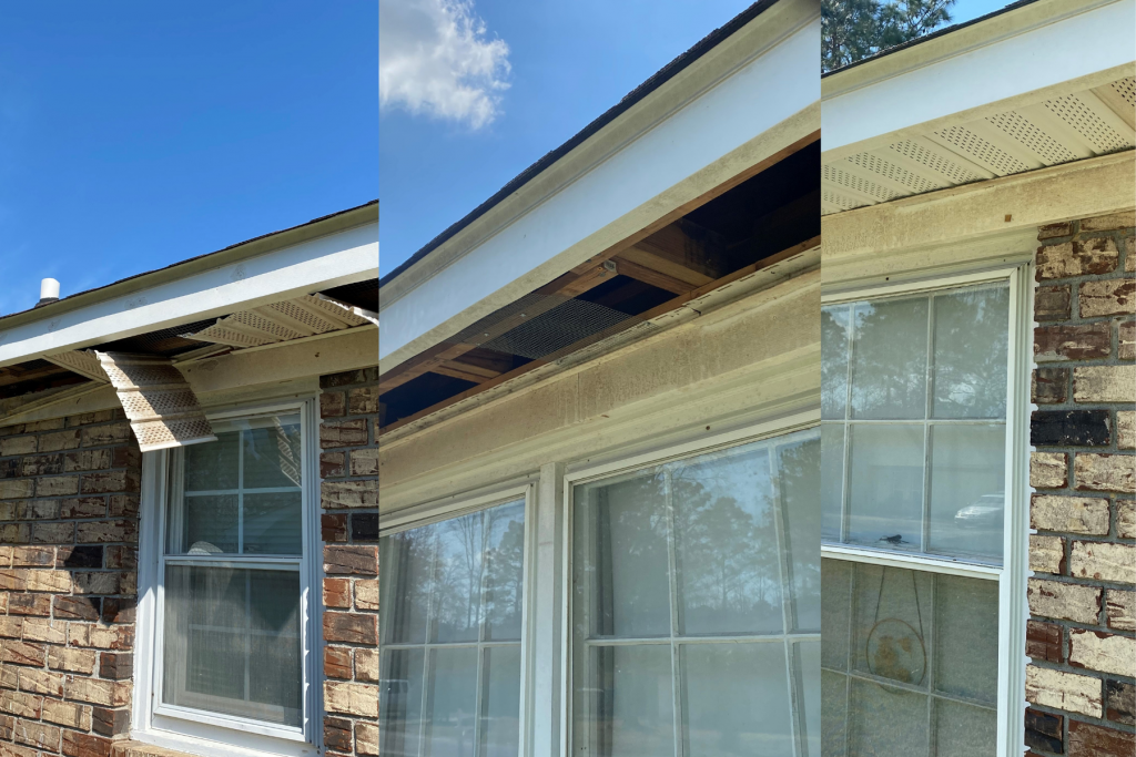 animal damage repair before and after