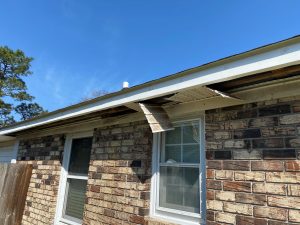 Animal entry point soffit