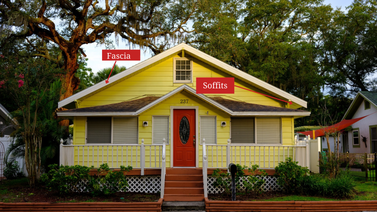 How animals get in Tampa fascia boards