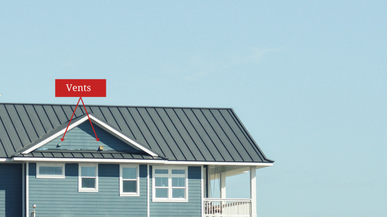 How animals get in Tampa gable vent, soffits