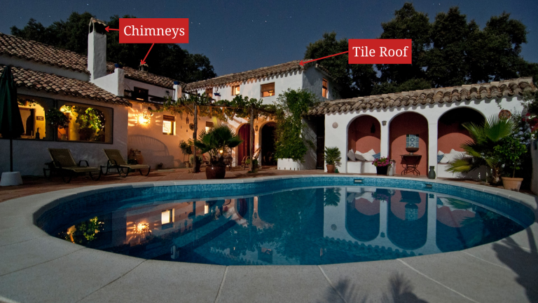 how animals get in Tampa