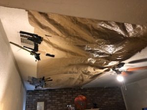 Raccoon ceiling damage