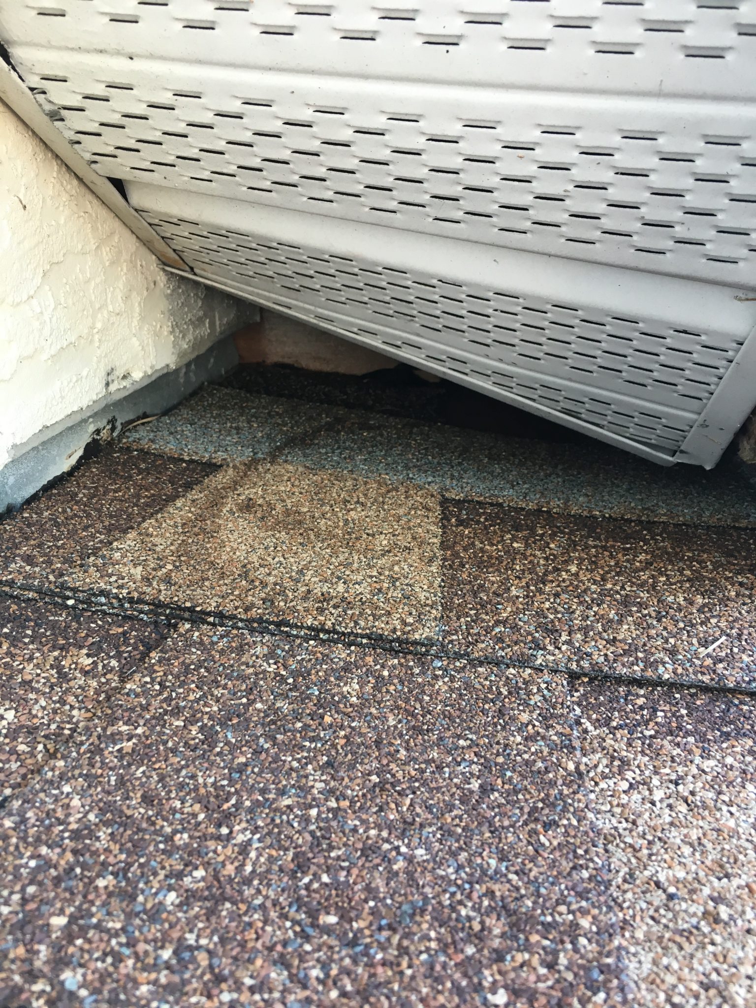 How do raccoons get into the attic? Trutech Wildlife Service