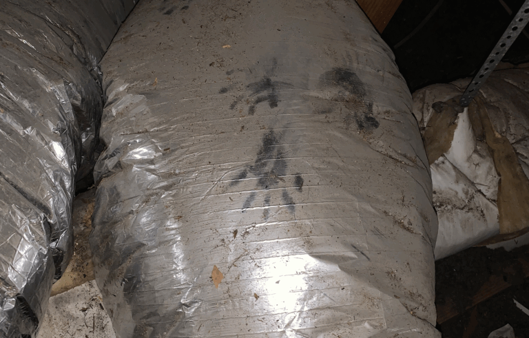 signs of raccoons in the attic foot prints on ducts