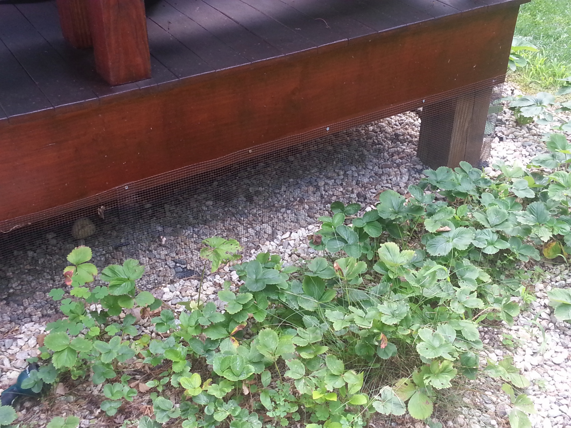 skunk exclusion under deck