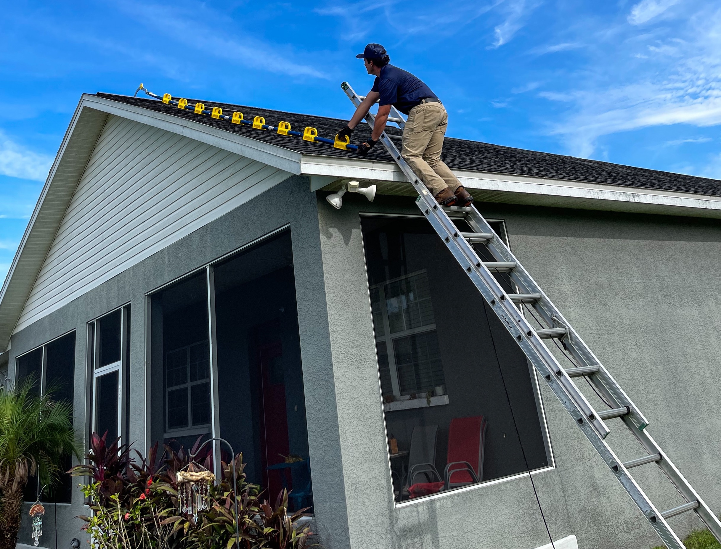 Can Raccoons Climb? Trutech Wildlife Service
