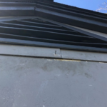 gable vent bat entry point