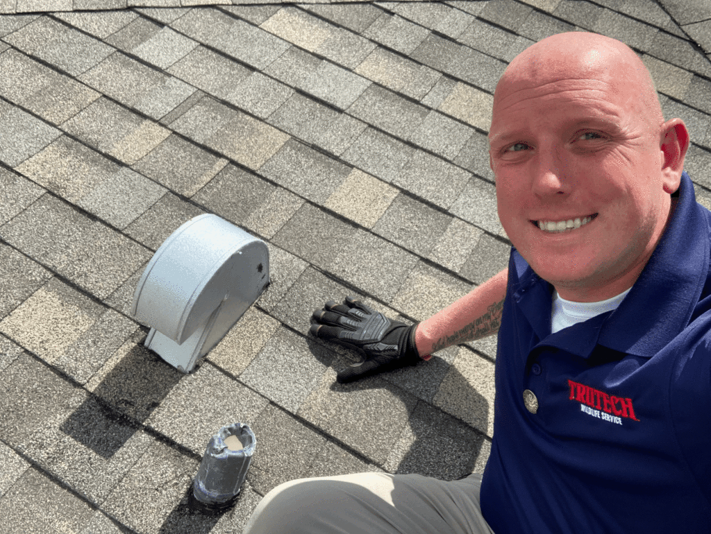 wildlife inspection roof