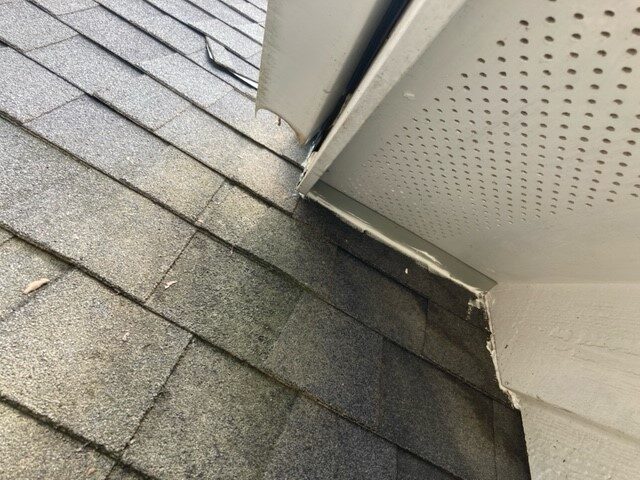 roof return/soffit repair for raccoon in attic Raleigh