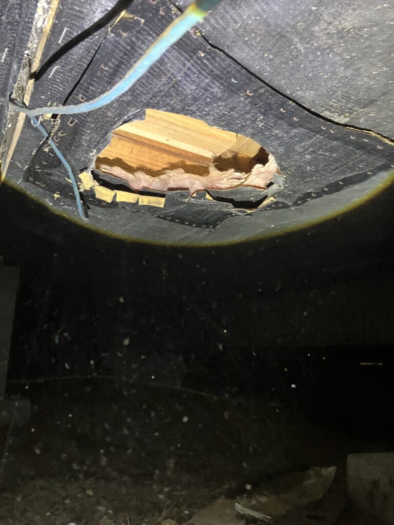 rat gnawed hole entry gap into crawlspace