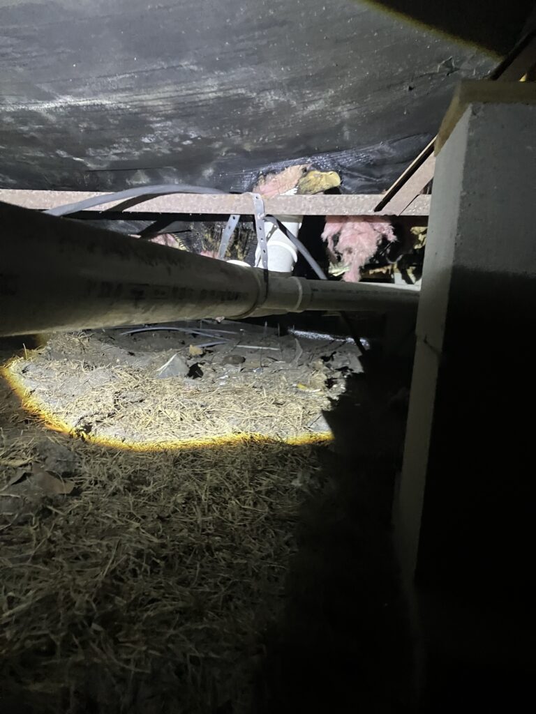 rat damage to crawlspace