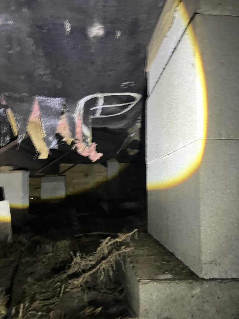 damaged insluation crawlspace from rats