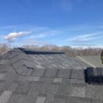ridgevents on the roof of a home to protect from wildlife pests