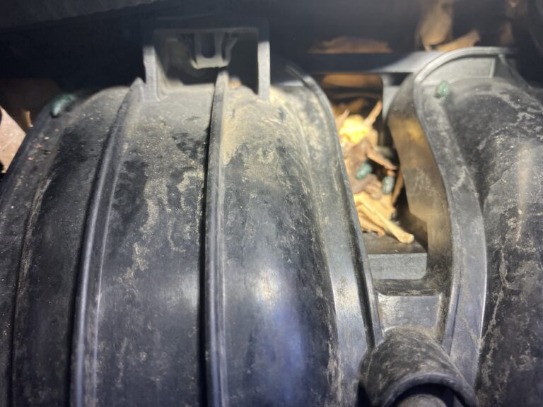 rat droppings and rat printsin dust in attic