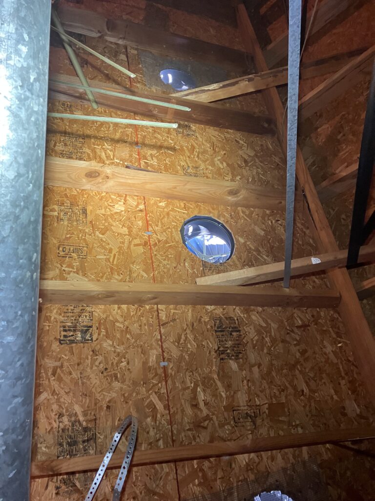rat entry in attic