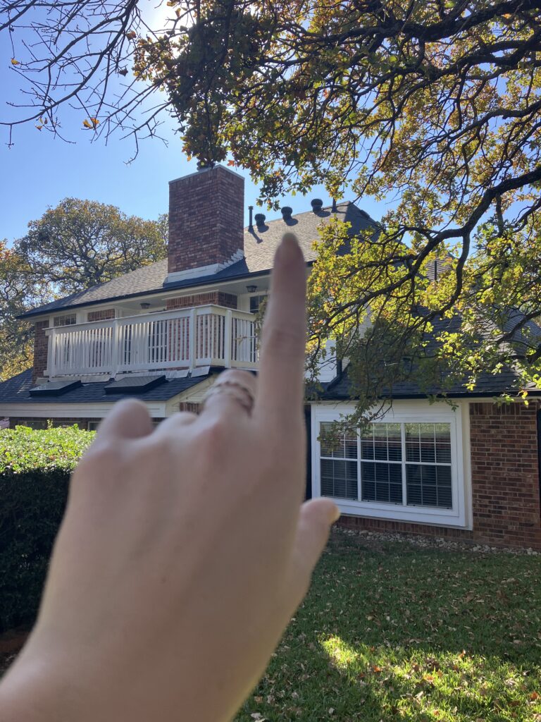 point ing to rat entry in roof vents ft worth