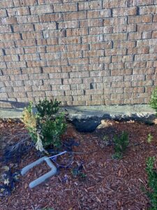 Armadillo hole under fort worth house foundation