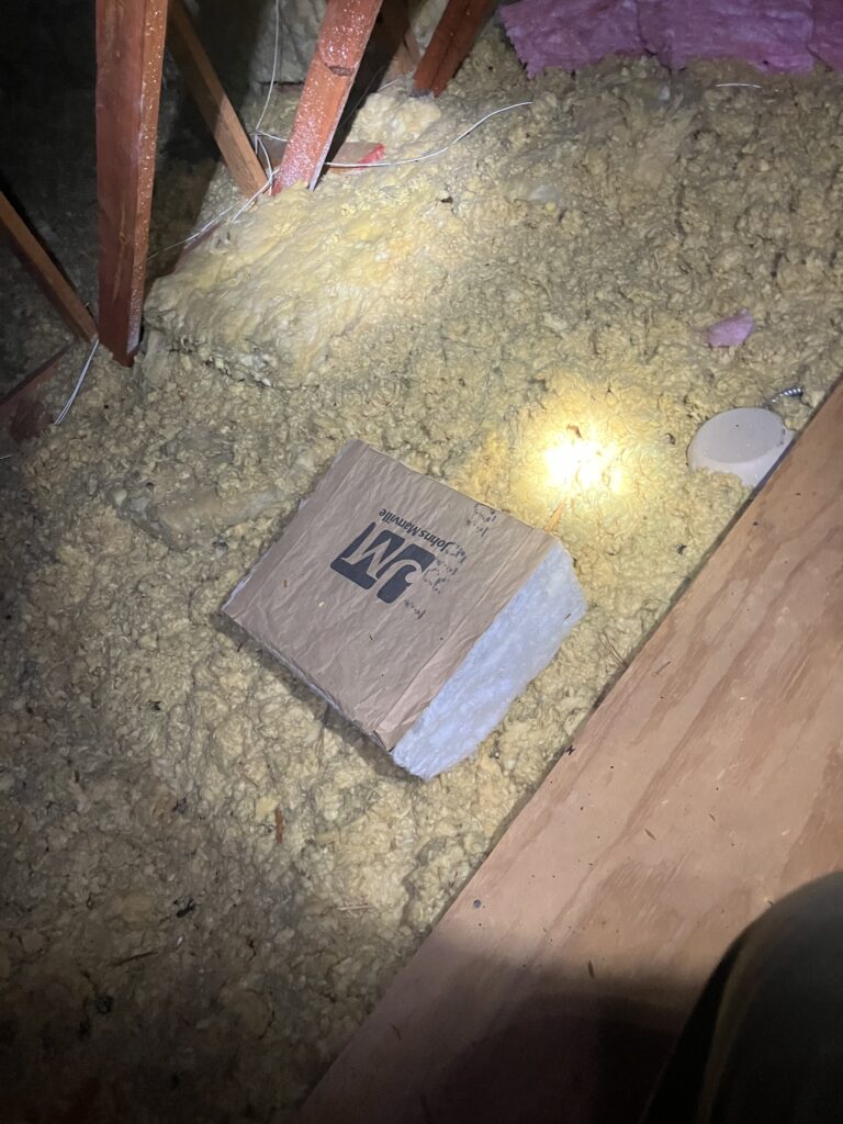 Mice droppings in insulation