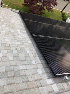 bird control solar panel