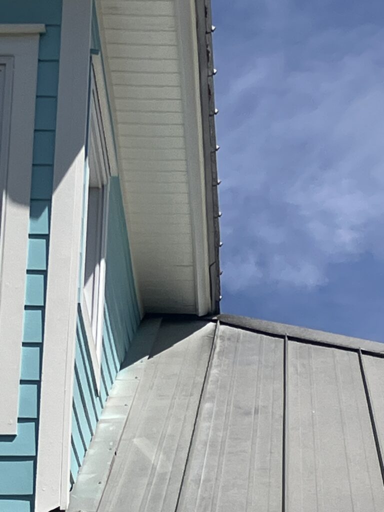 bat entry point soffit Atlantic Beach