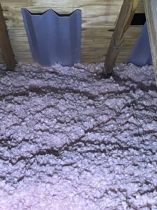 signs of bats in attic in atlantic beach