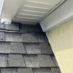 how rats get inside the roof