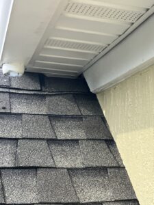 how rats get inside the roof