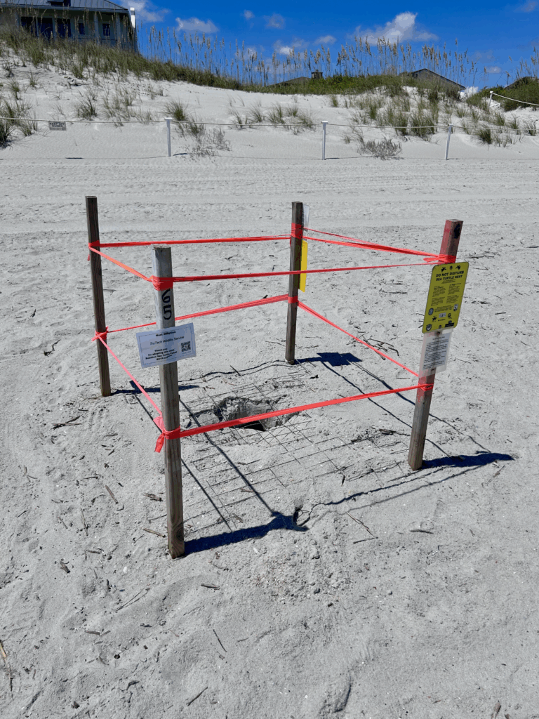 Four posts and tape surrounding a sea turtle nest for conservation