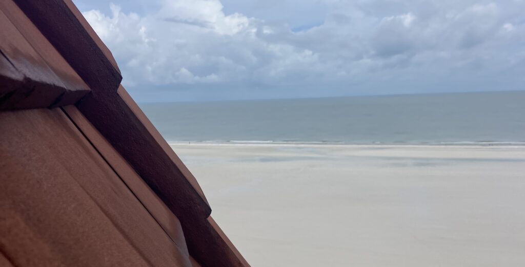 bat condo blog banner