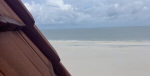 bat condo blog banner