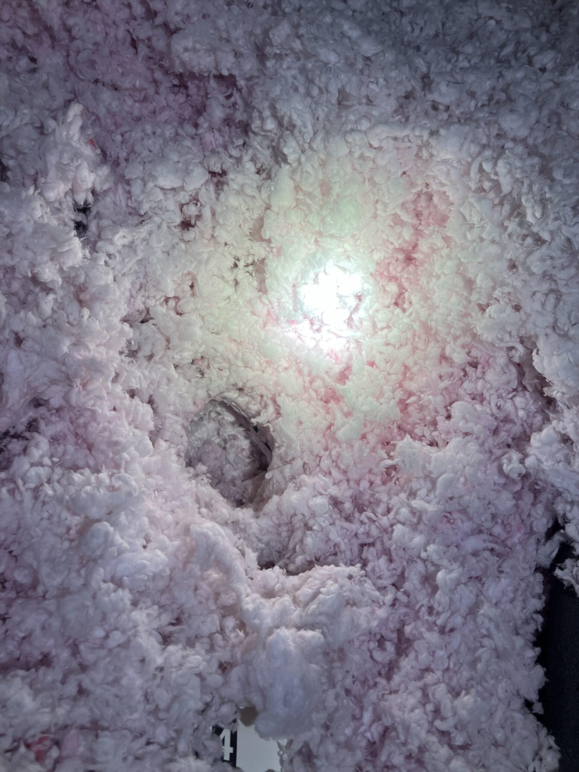 rat tunnels in insulation