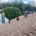 Roof inspection for squirrels in San Antonio