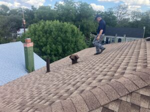 Roof inspection for squirrels in San Antonio