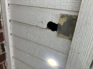 Rat hole in wall