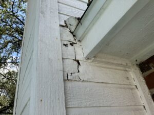Rat damage to siding, wall