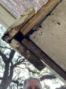 Rat entry under house