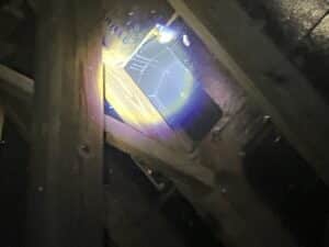 Attic inspection for squirrel entry points and damage