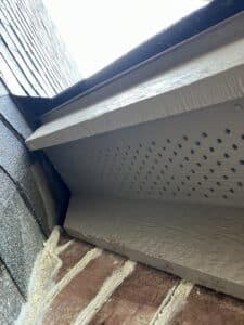 Squirrel Entry point soffit