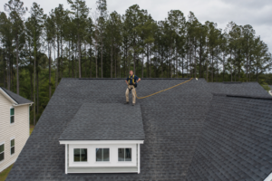 Trutech Wildlife Roof Inspection