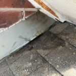 Rat entry on roof