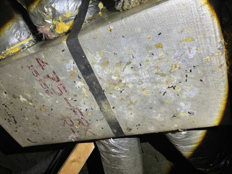 rat droppings on air ducts