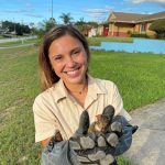 Hand caught squirrel caught squirrel in hand