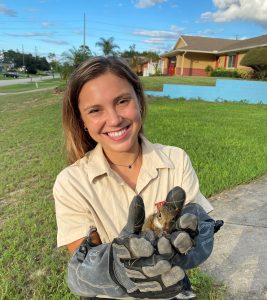 Hand caught squirrel caught squirrel in hand