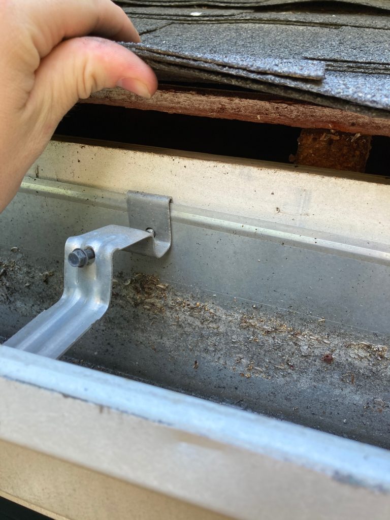 Five Signs You Have Animals in Your Attic + 3 tips to humanely evict