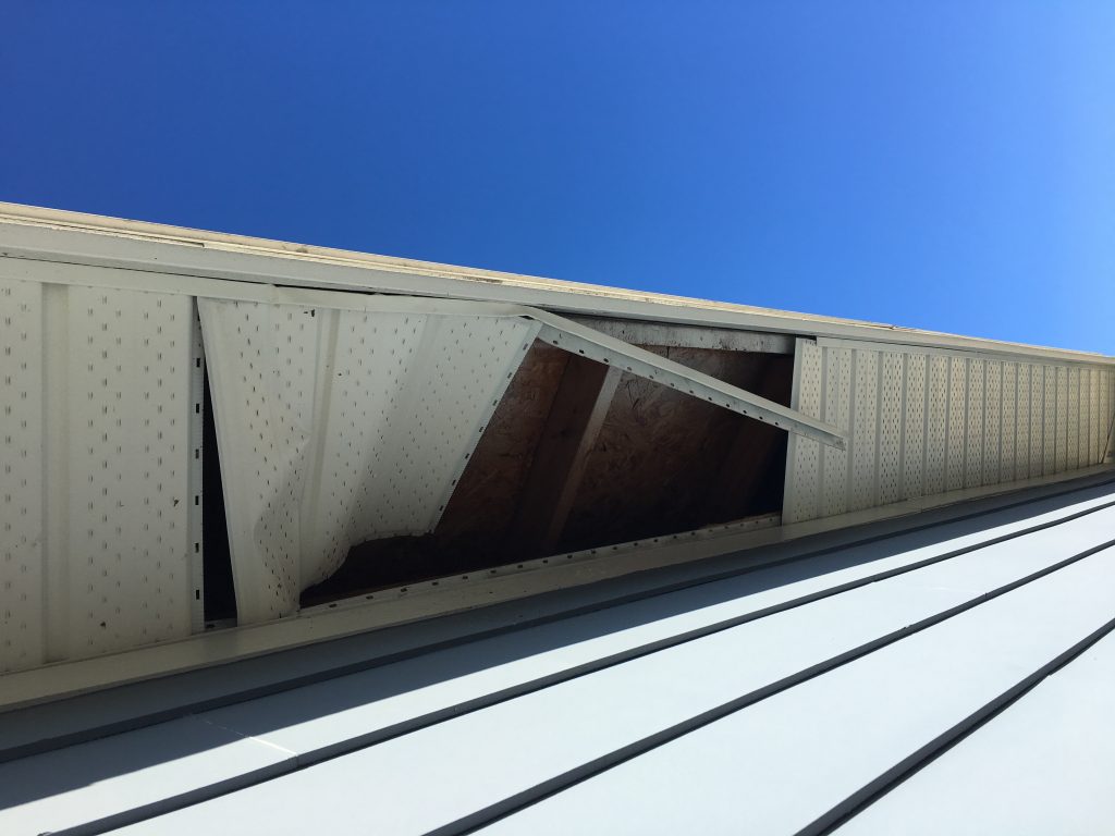 Raccoon damage to soffit raccoon damage to soffit