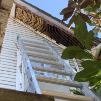 BEEHIVE IN ROOF DALLAS FORT WORTH beehive in roof in dallas